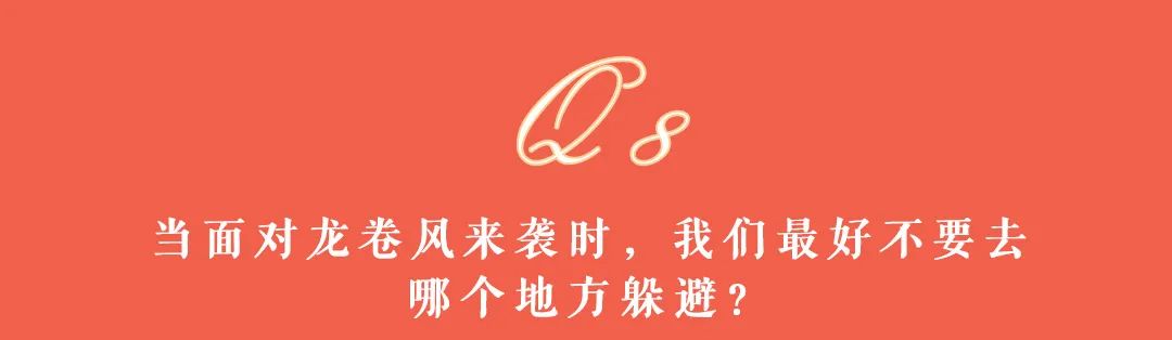 大理日报