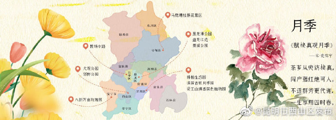 昆明市西山区发布