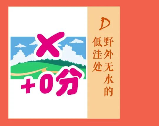大理日报