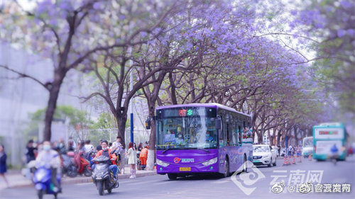 “昆明官渡发布”微博