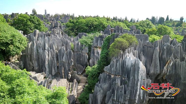 石林旅游网