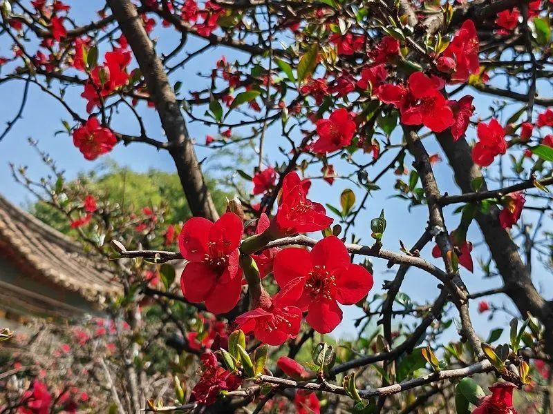 文旅云南