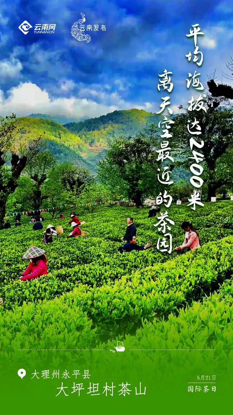 云南省文化和旅游厅