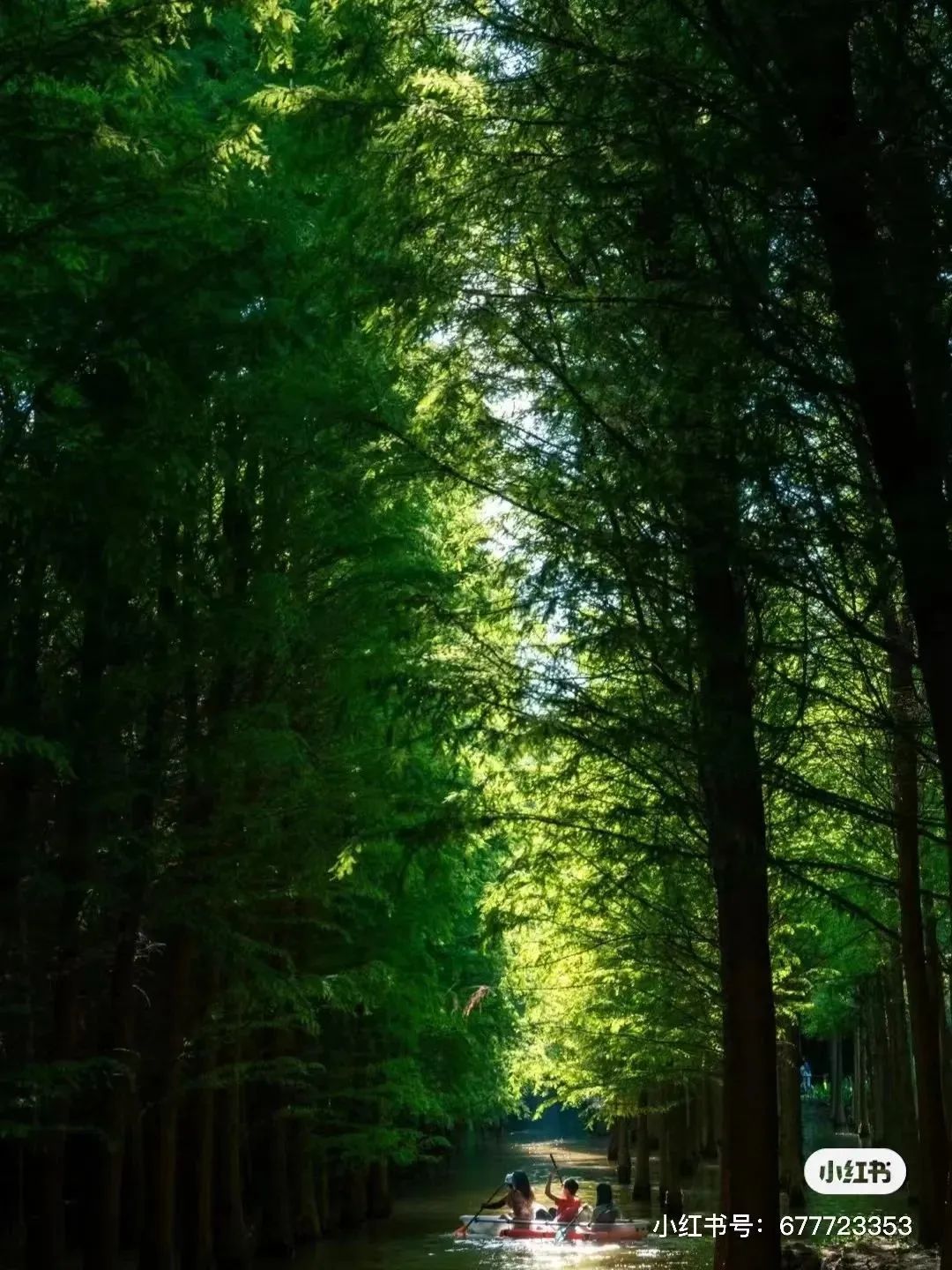 昆明滇池国家旅游度假区管理委员会(微信)