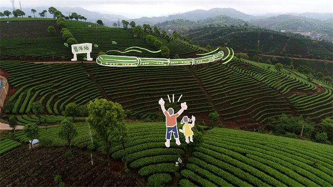 云南省文化和旅游厅