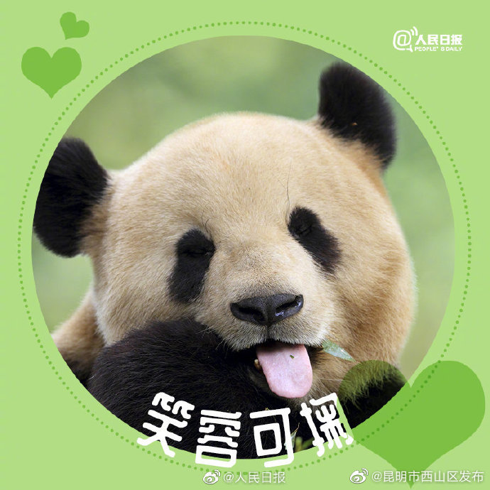 昆明市西山区发布