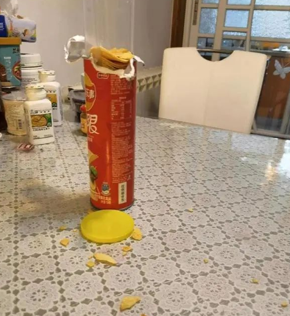 掌上春城微信公众号