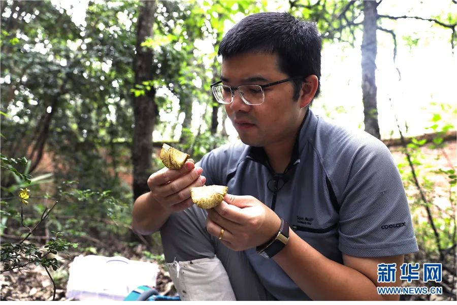美丽云南微科普
