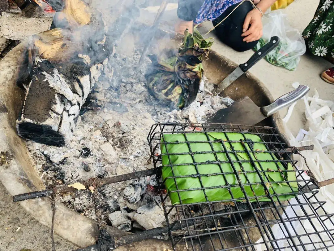 西双版纳望天树景区