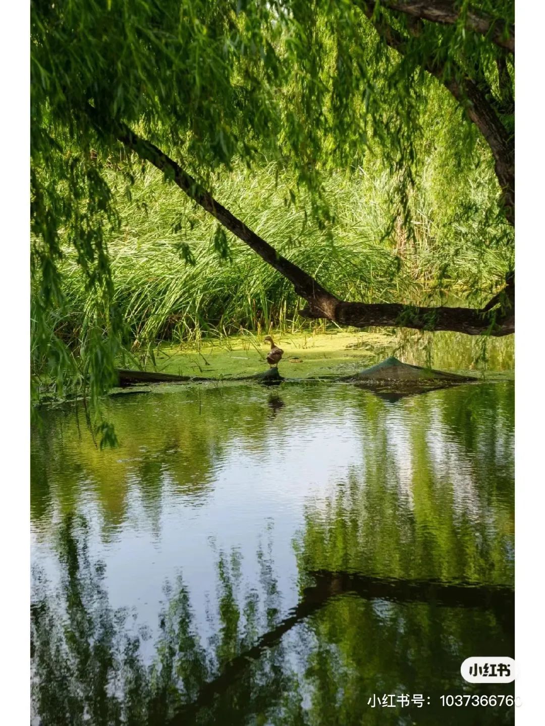 昆明滇池国家旅游度假区管理委员会(微信)