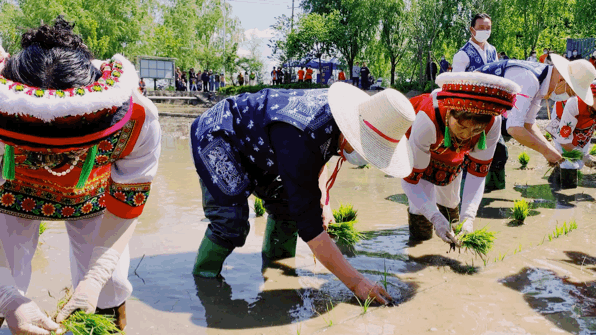 大理电视台