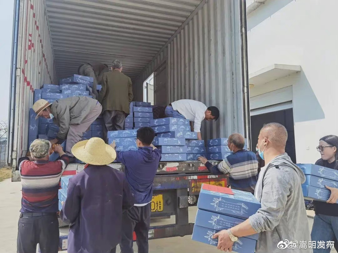 嵩明发布