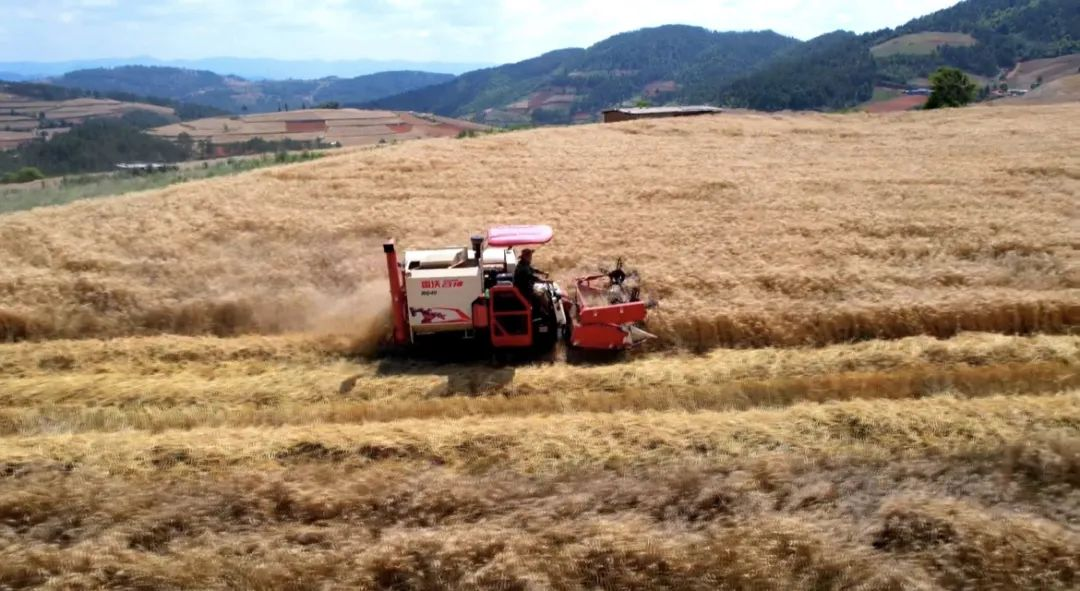 云南省人民政府网