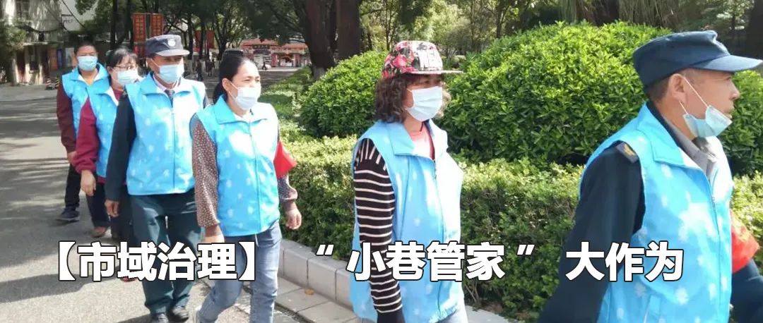 云南政法