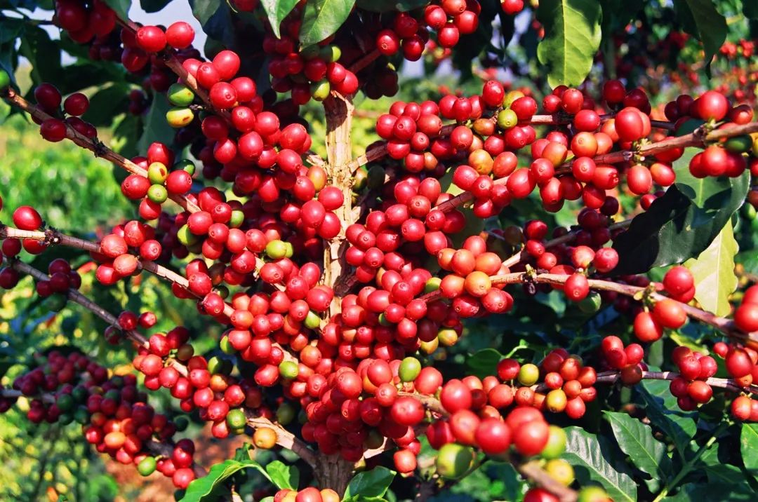 保山广播电视台