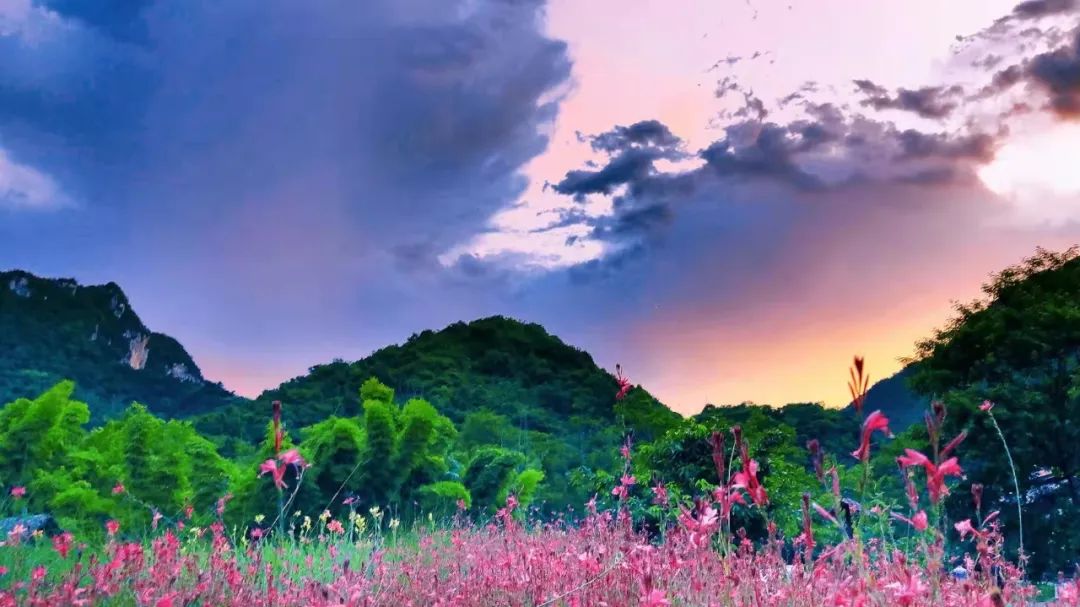 昆明信息港/cnkmxxg