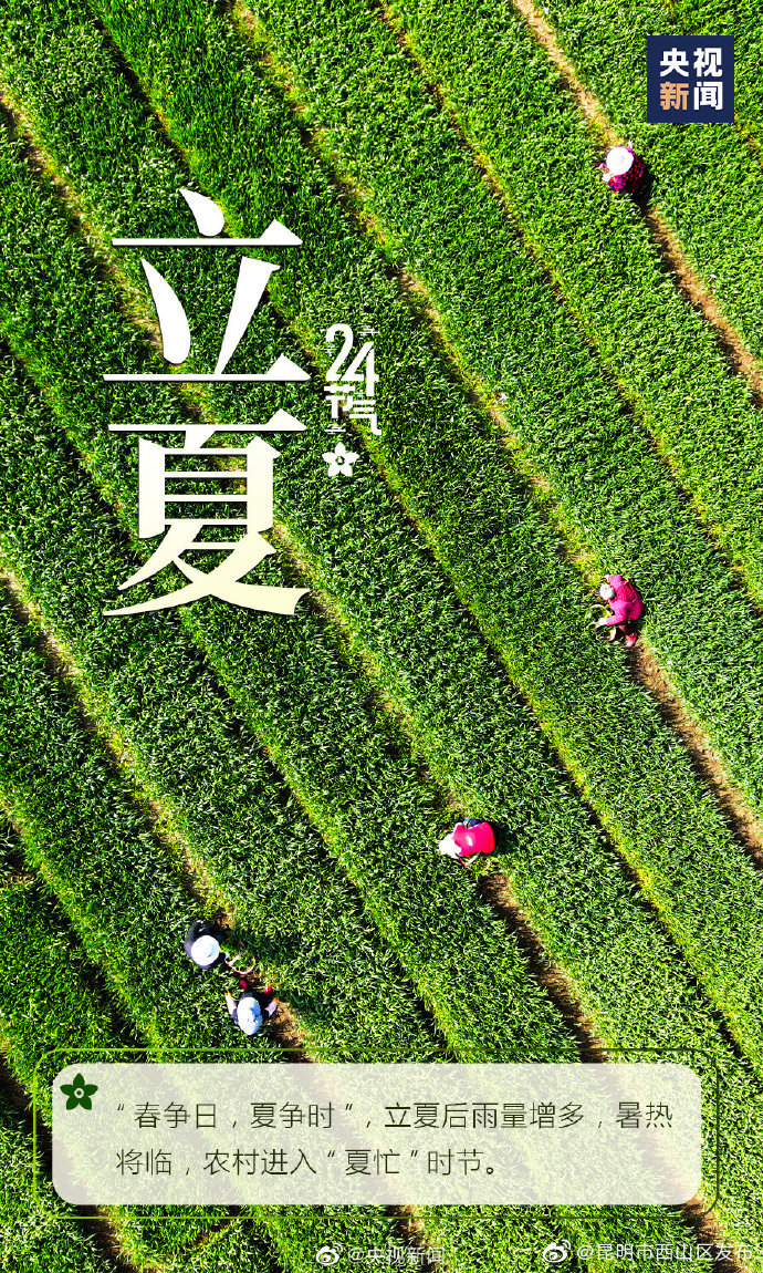 昆明市西山区发布
