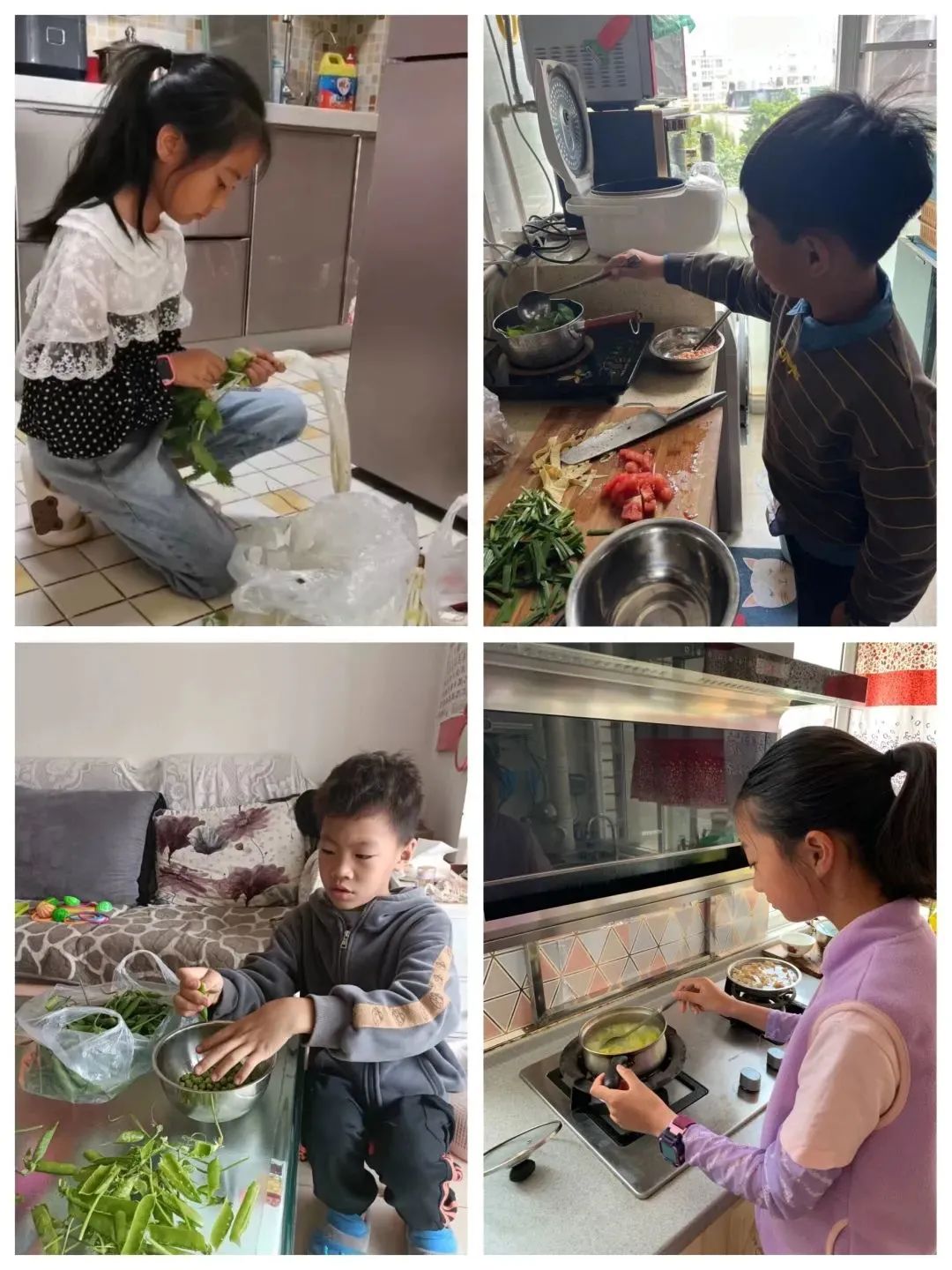 盘龙教育(微信)