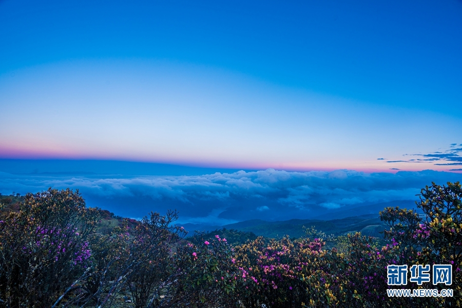 云南省文化和旅游厅