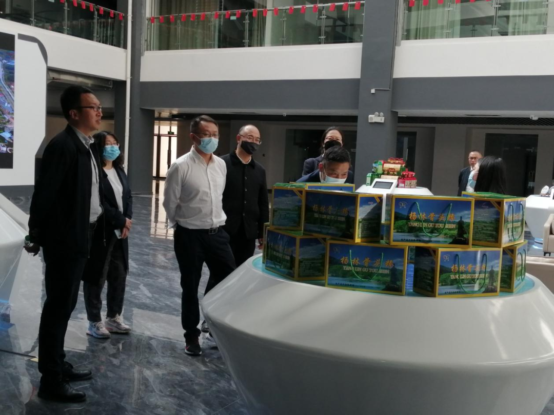 嵩明招商(微信)