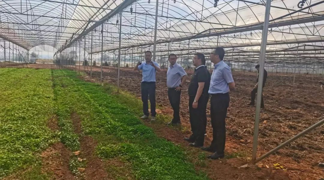 嵩明招商(微信)