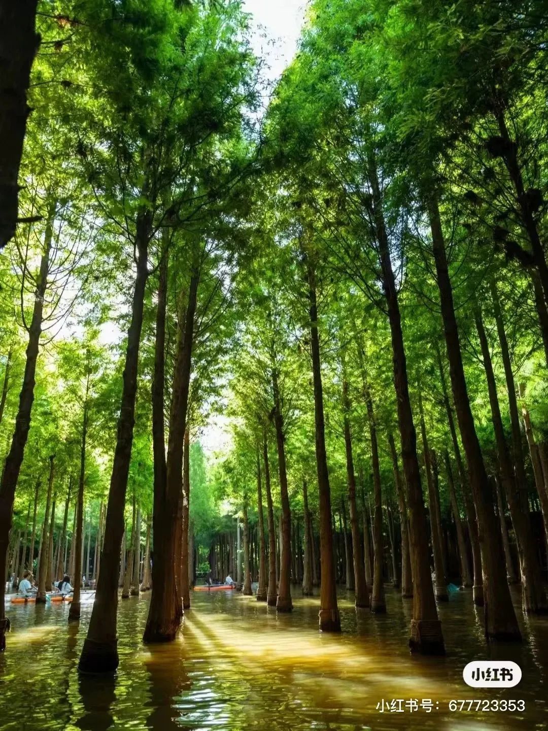 昆明滇池国家旅游度假区管理委员会(微信)