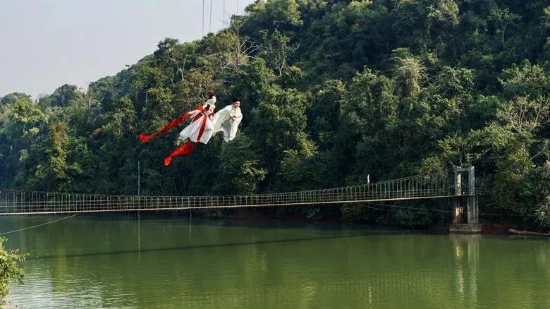 西双版纳望天树景区