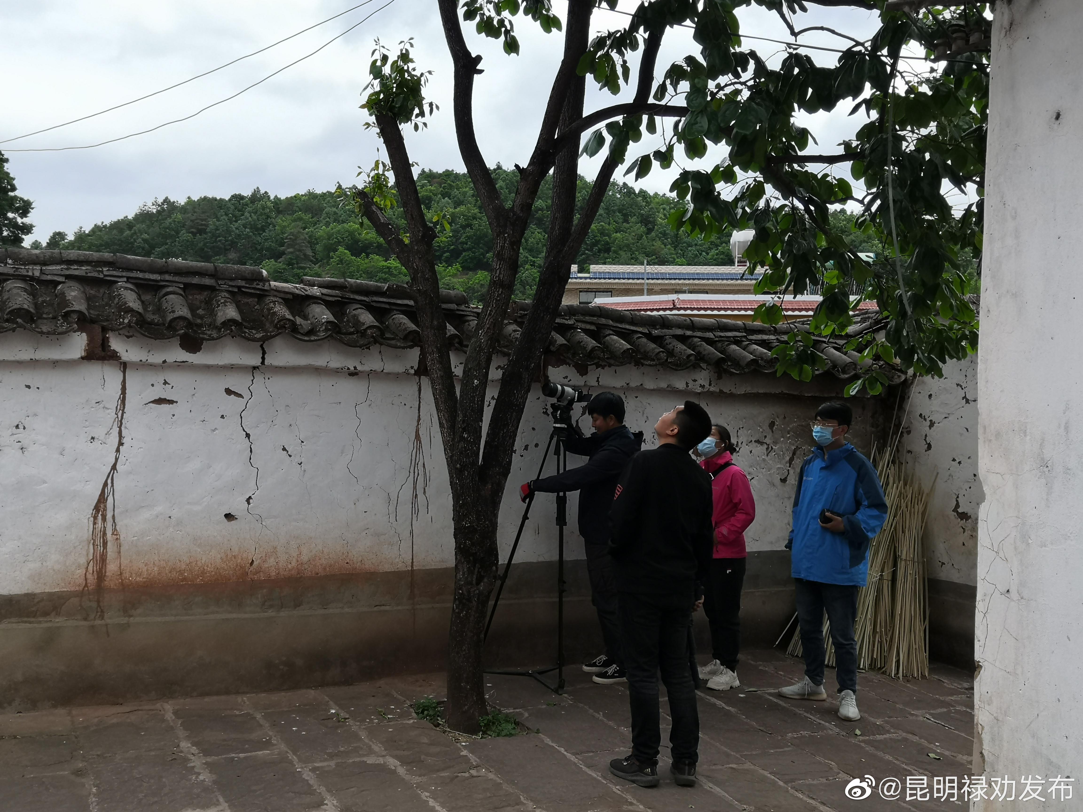 昆明禄劝发布
