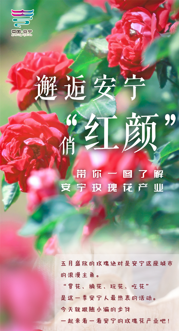 昆明发布
