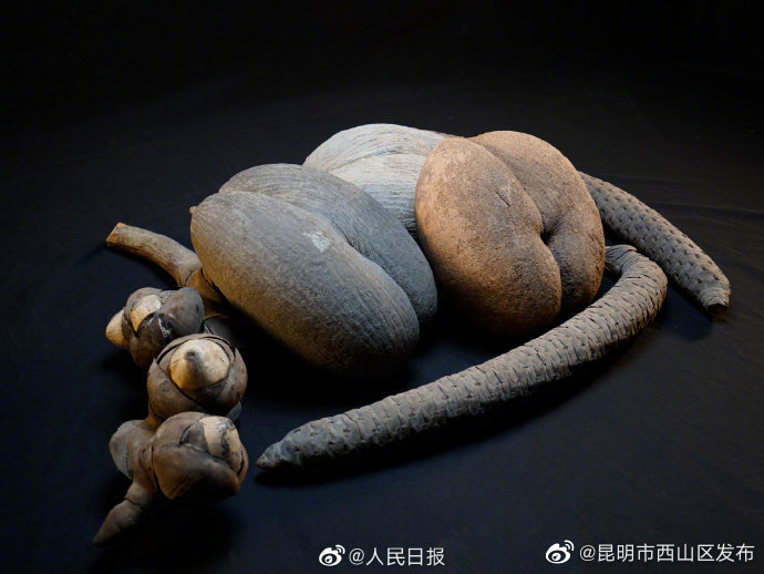 昆明市西山区发布