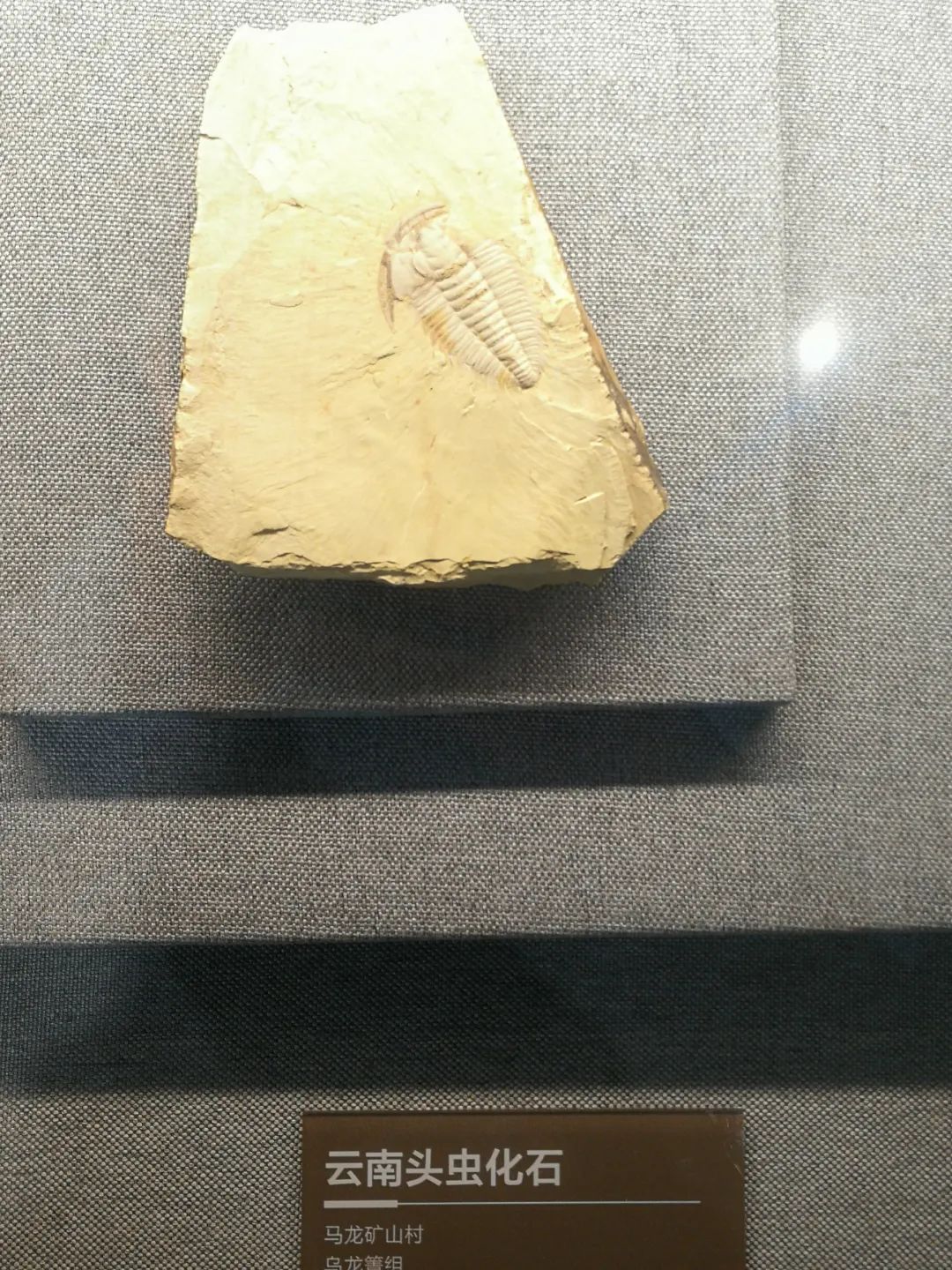 昆明市博物馆