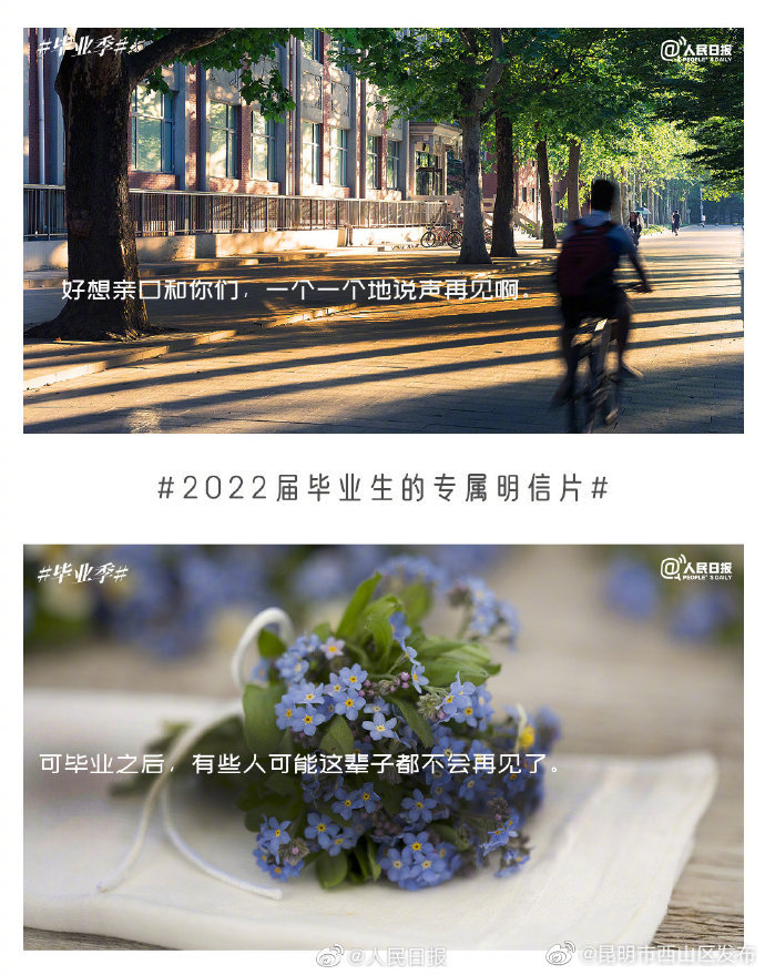 昆明市西山区发布