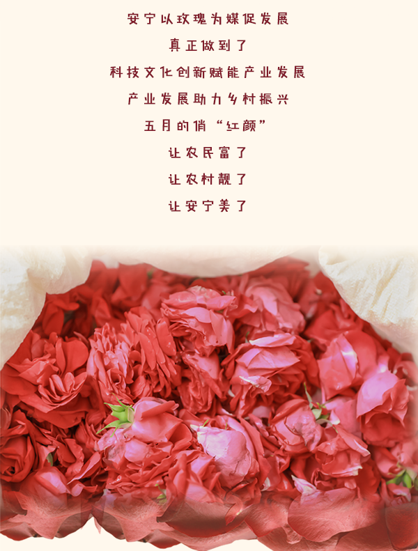 昆明发布