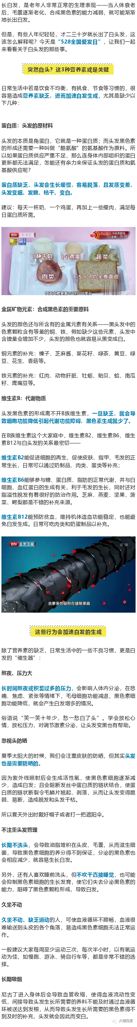 大理日报