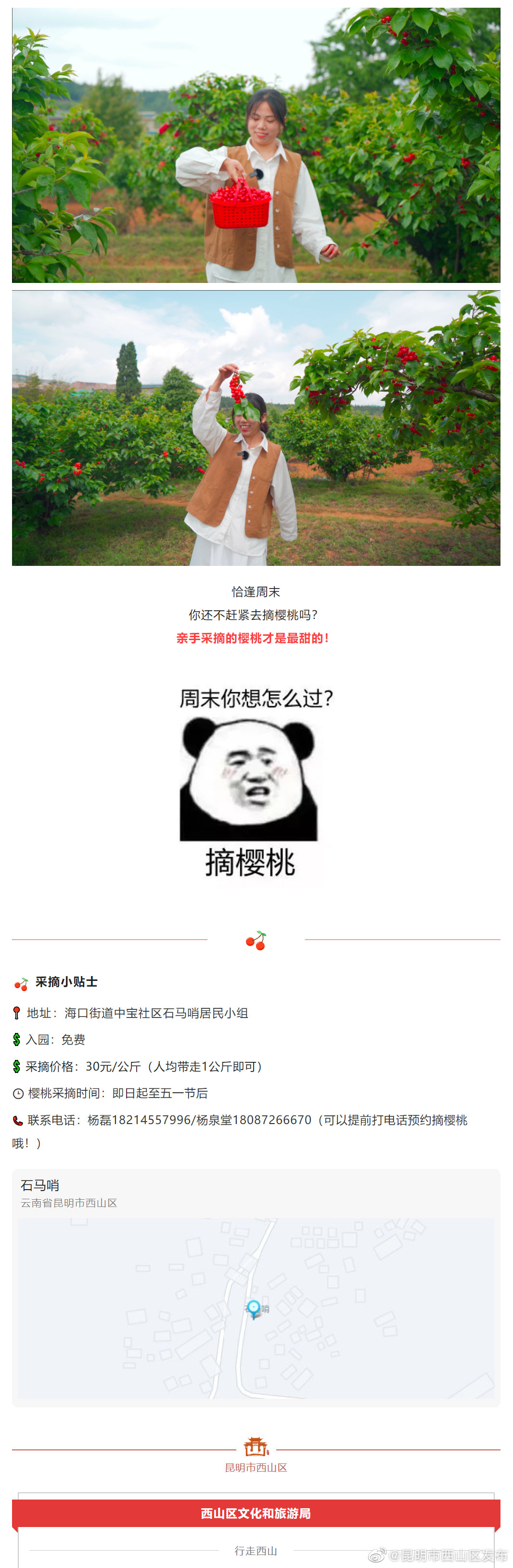 昆明市西山区发布