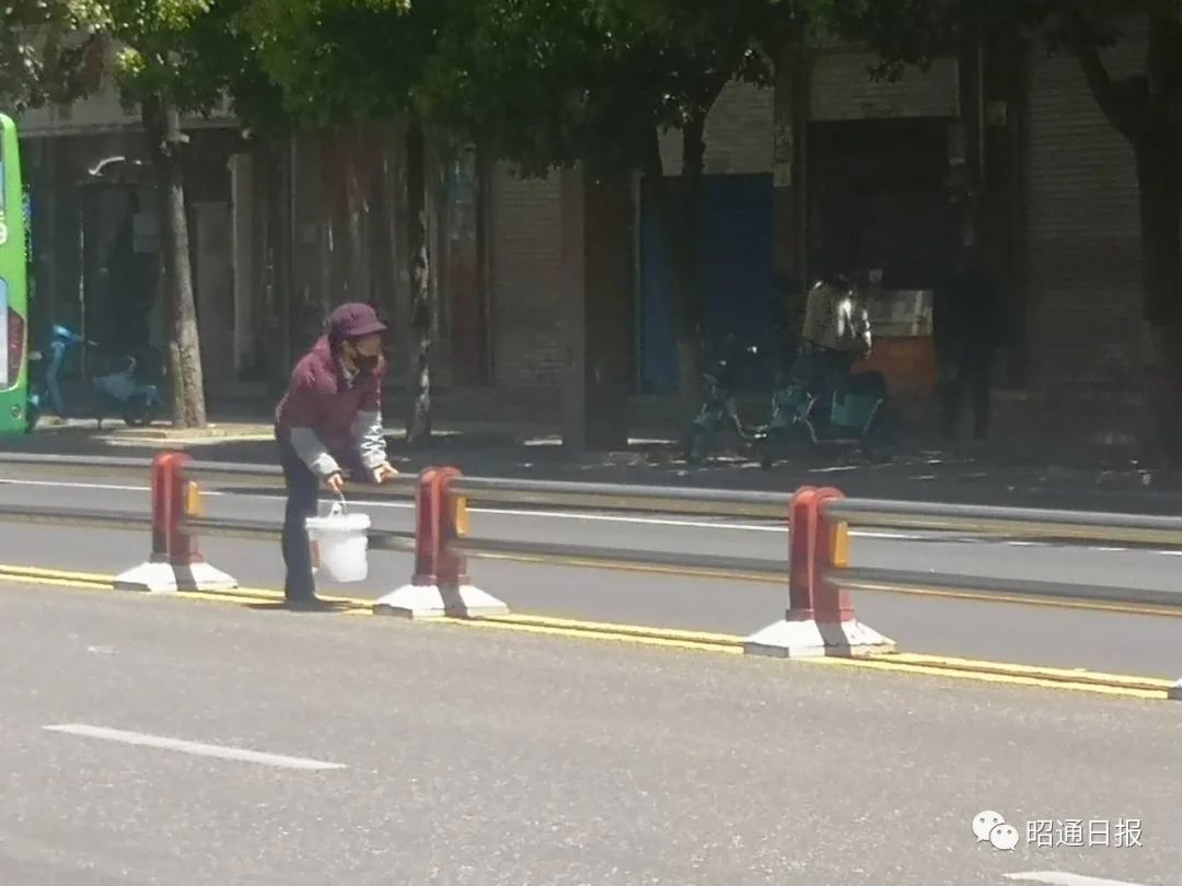 昭通日报