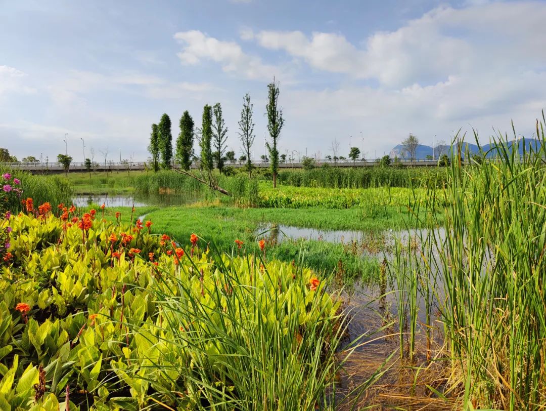 昆明信息港/cnkmxxg