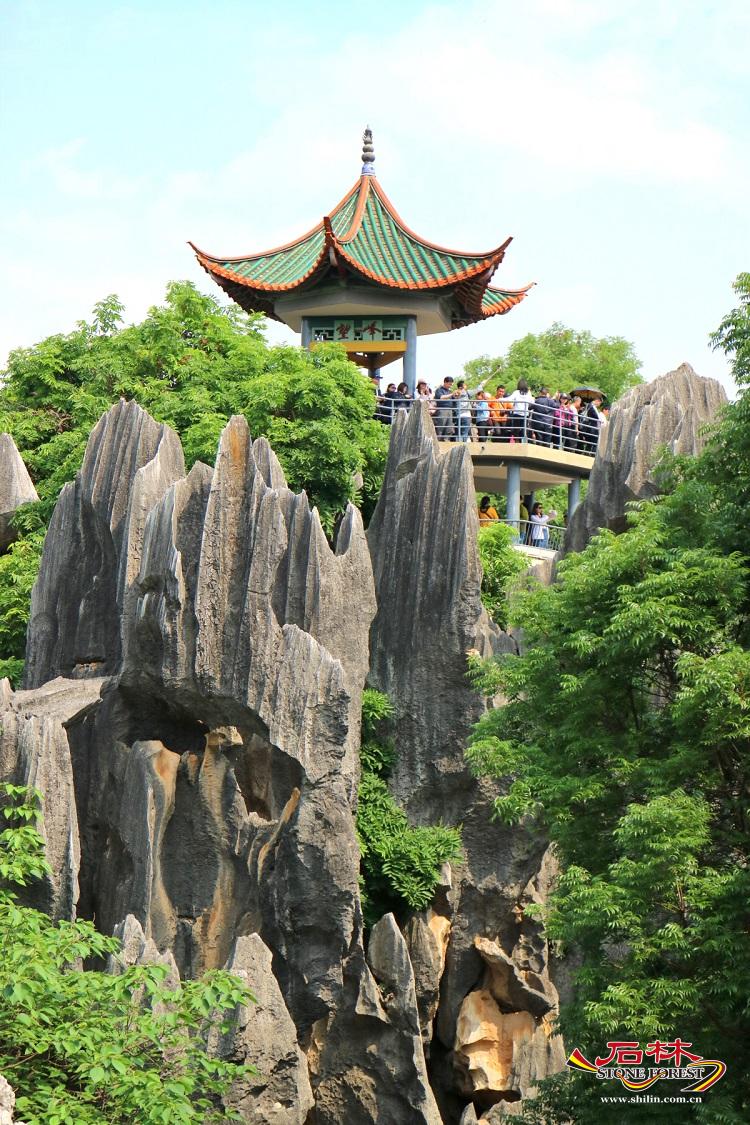 石林旅游网