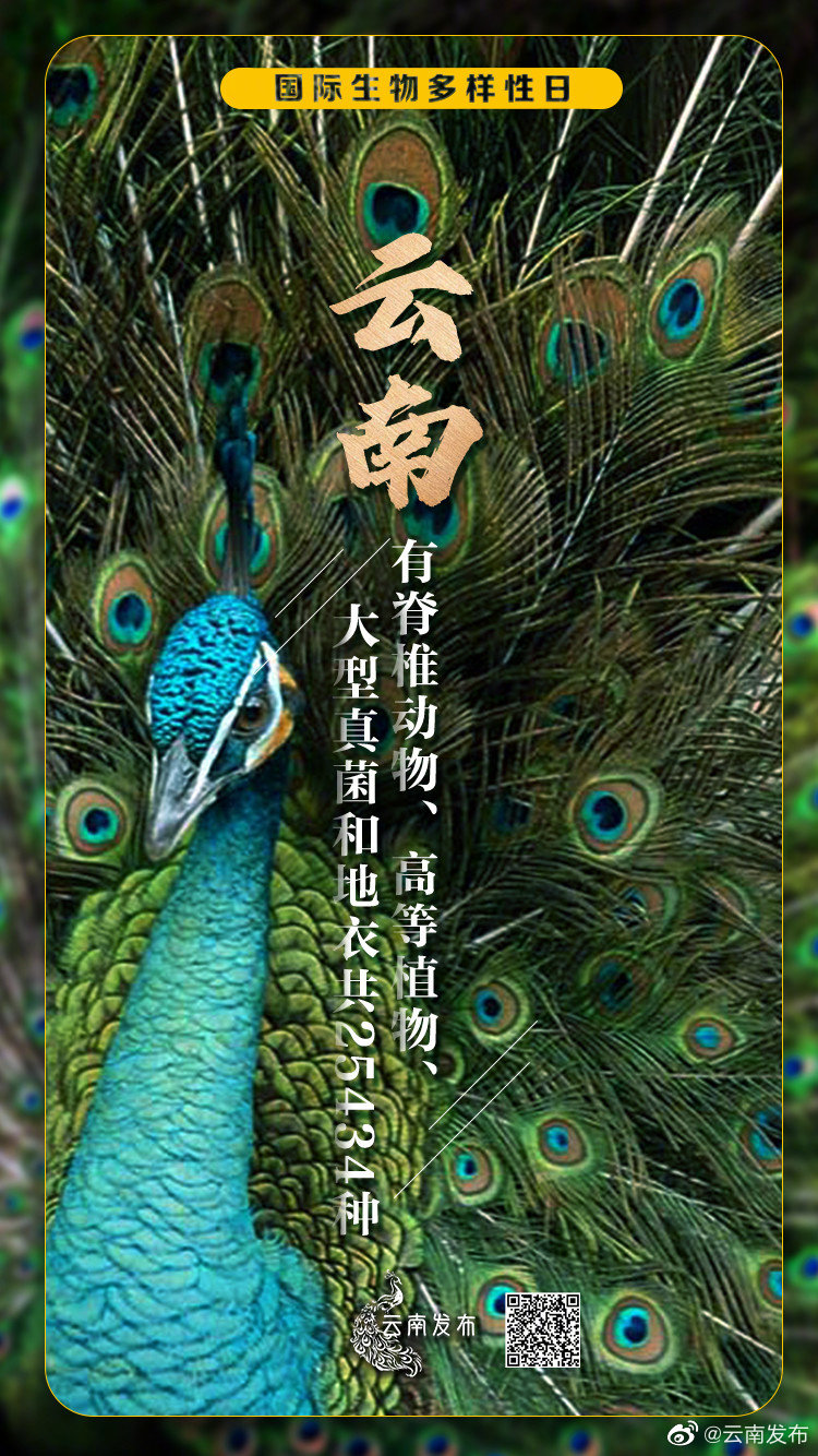 “云南发布”微博