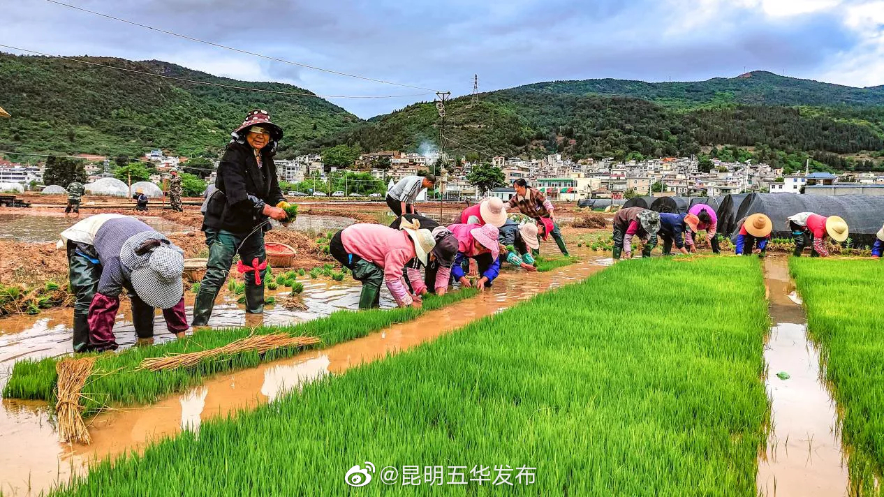 “昆明五华发布”微博