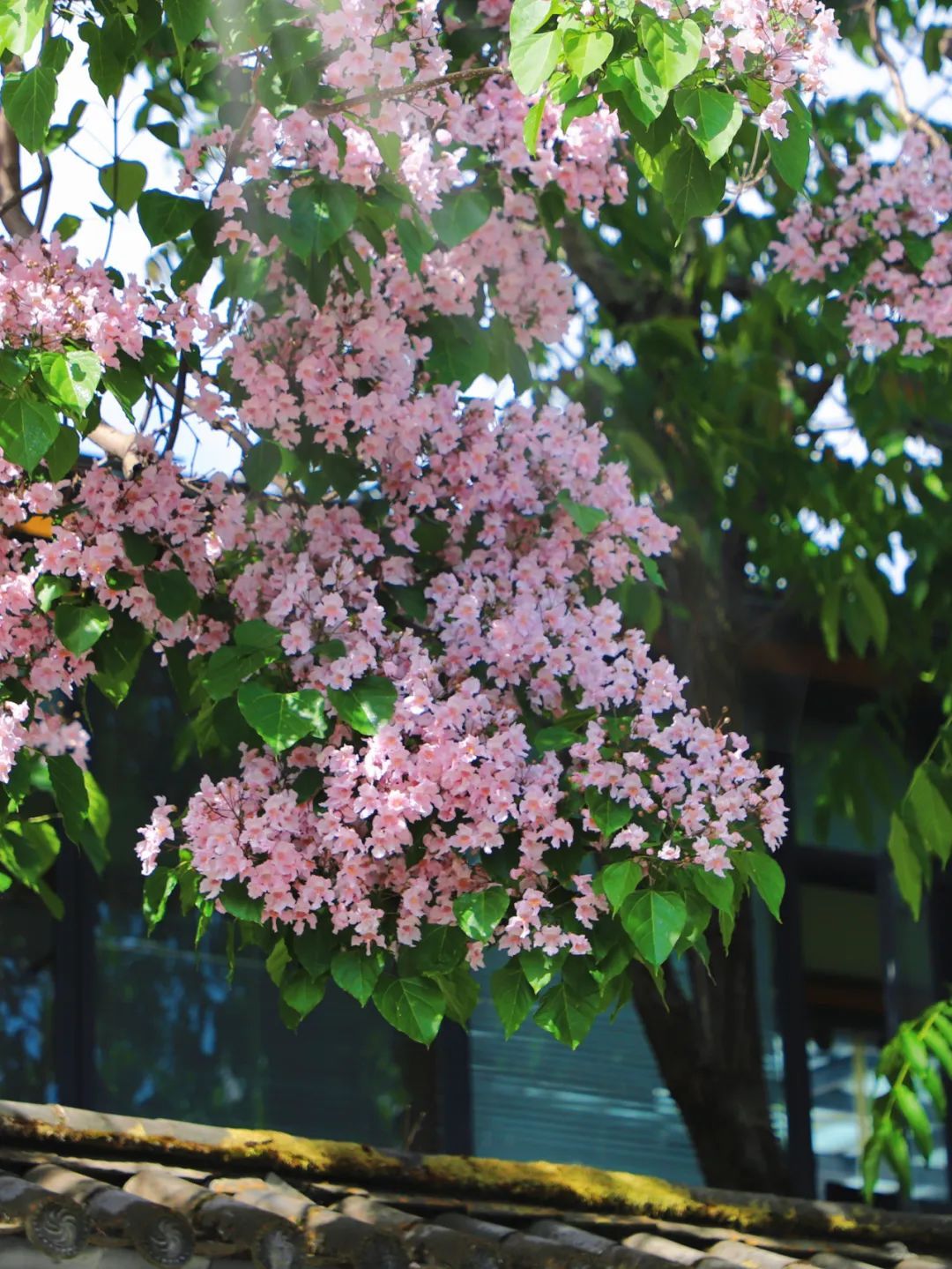 云南省文化和旅游厅