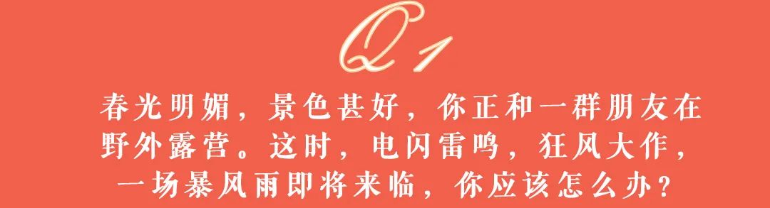 大理日报