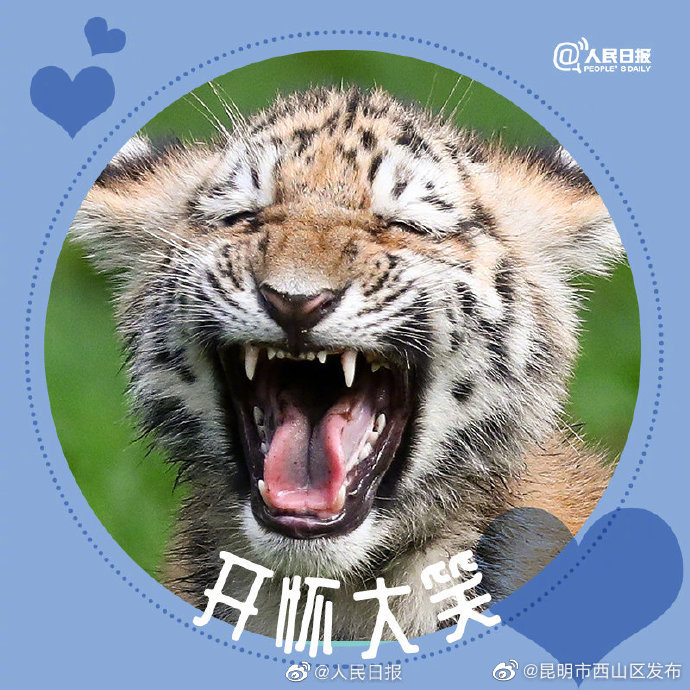 昆明市西山区发布