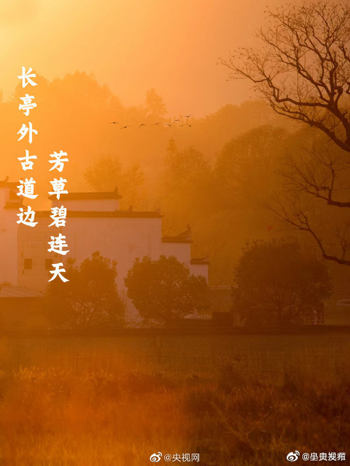 呈贡发布