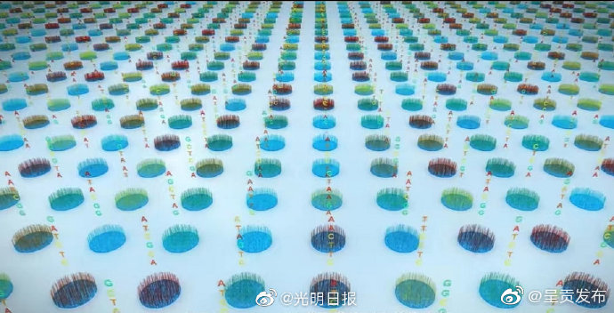呈贡发布