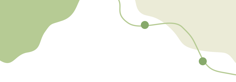 西双版纳望天树景区