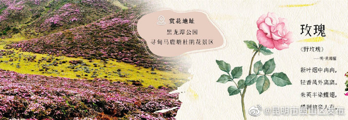昆明市西山区发布