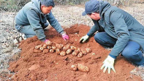 昆明市农业农村局