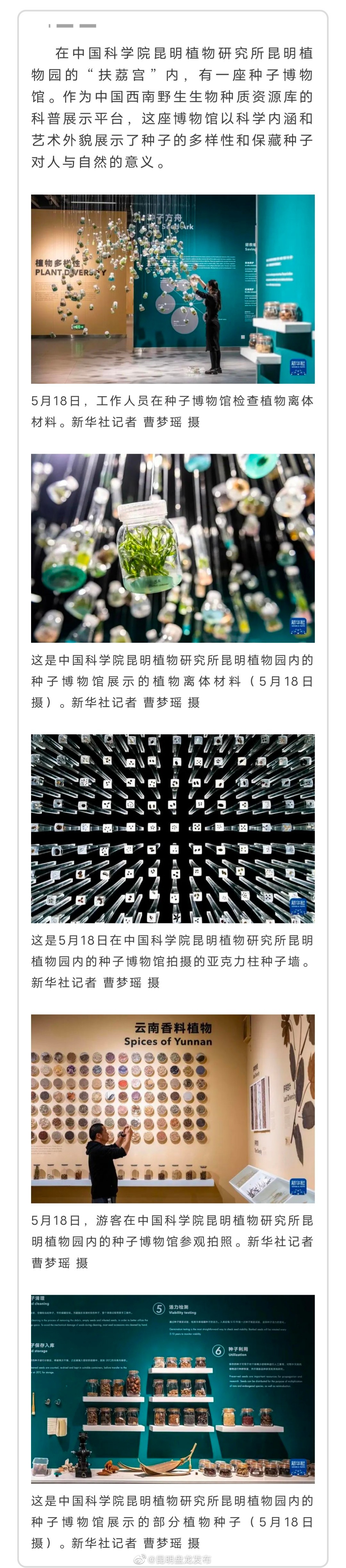 盘龙有座“种子博物馆”