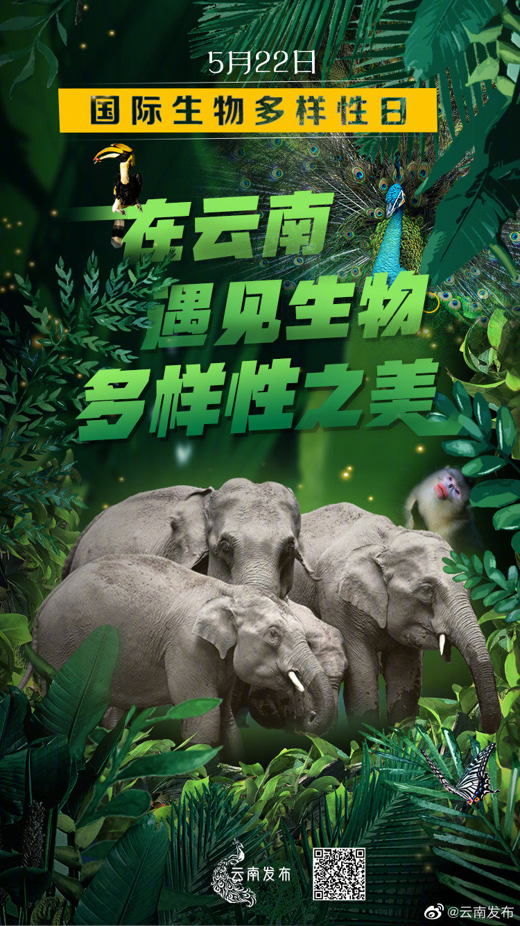 “云南发布”微博